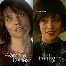 Twilight saga movie and book series