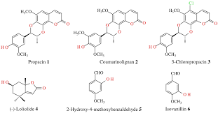 Image result for Mondia ecornuta