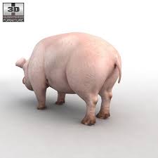 Highly Detailed And Realistic Pig 3d Model Detailed Highly Realistic Model 3d Model Model Realistic