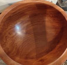 Image result for Xylia torreana