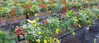 Überbetriebliche ausbildung gartenbau um für eine erfolgreiche berufstätigkeit nach der ausbildung gewappnet zu sein, absolvieren alle thüringer und hessischen auszubildenden des gartenbaus im laufe ihrer dreijährigen ausbildung eine bestimmte anzahl von themenbezogenen wochenlehrgängen. Staatsehrenpreis Fur Ausbildung Im Baureferat Landeshauptstadt Munchen