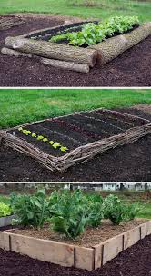 20x20 Vegetable Garden Layout Vegetablegardeninglayout Vegetable Garden Design Elevated Gardening Home Vegetable Garden