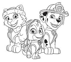 Patrulla Canina Para Colorear