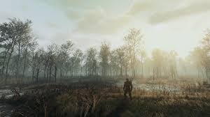 See more ideas about fantasy landscape, concept art, landscape. Almost Concept Art At The Witcher 3 Nexus Mods And Community