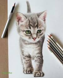 Cat Portrait Prismacolor Art Color Pencil Art Color Pencil Drawing