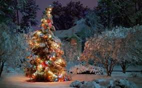 Christmas Tree At Night Desktop Nexus Wallpapers Christmas Lights Wallpaper Christmas Desktop Christmas Lights Background