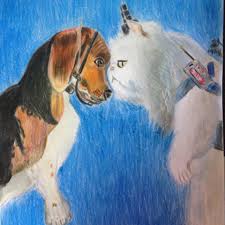 Finally, you'll be able to understand what with the help of a little photoshop magic we've added captions to these hilarious images in order to give these animals a voice. Funny Animal Captions Home Facebook