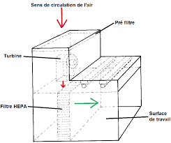Qu Est Ce Qu Une Hotte A Flux Laminaire