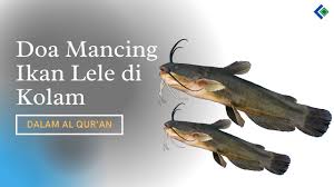 Terimalah daripada kami (amal kami); Doa Mancing Ikan Lele Di Kolam Dalam Al Quran Caracari