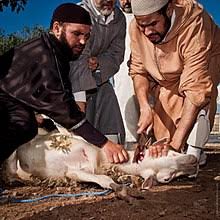 Goat killing machine is an integral part of your meat store or factory and hence, needs to be of premium category. Animal Sacrifice Wikipedia