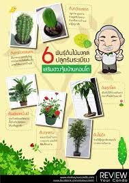 life style archives reviewyourliving com ร ว วบ าน ร ว วคอนโด ฮวงจ ย บ าน