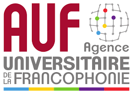 (stationary) die katze springt auf die tastatur. Agence Universitaire De La Francophonie Auf Dual Degree Programs