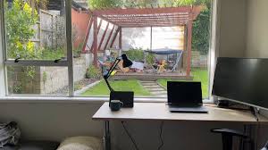 教師專業學習社群運作- 幼兒大肌肉活動研究