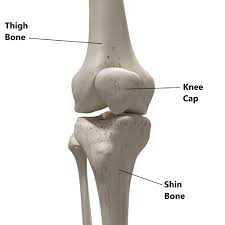 Grade two if the ligament has become loosened as a result of being stretched, the injury is classified as a grade two injury, or partial ligament tear. Medial Collateral Ligament Mcl Injuries My Family Physio