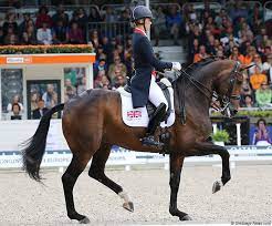 Charlotte dujardin msj freestyle record breaking performance fei dressage world cup. Charlotte Dujardin Mount St John Freestyle Photo Report On Amazing Performance With Sad Ending Dressage News