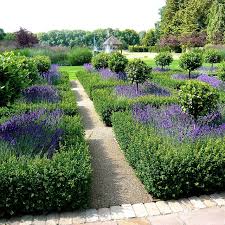 Pin By Celina Krochmalska On Plantacion Formal Garden Design Parterre Garden Beautiful Gardens