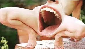 Illustration of the anatomy of female genitalia. Thanks I Hate Human Mouth Female Reproductive System Tihi