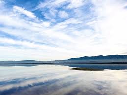 As a former wedding photographer, i know how hard it can be to shoot a client you just met, with a pet, in a tight time window. Alviso Marina County Park 1228 Photos 169 Reviews Parks 1195 Hope St Alviso Ca United States Phone Number Yelp