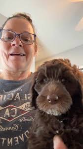 Hi there everyone! I just want to show off a little bit of our training and  kennel and say thank you for making us one of the top Goldendoodle breeders  in the