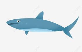 Sebagai permulaan, beberapa dari anda. Marissa Adelia Bintiahmadfadhli Profile Pinterest