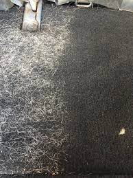 For legitimate purposes when prevention is taken seriously, you don't need to scout the entire internet on how to clean dog hair from carpet. Dog Hair Removal Car Wash Sedona Arizona