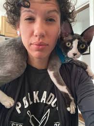 Dingos like to perch high up to keep an eye