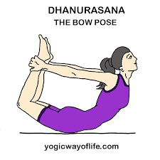 Dhanurasana Bow Pose Yoga Asana For Fitness Of Back And Spine Bow Pose Yoga Bow Pose How To Do Yoga