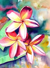 Plumeria Watercolors Hawaiian Flowers Tropical Flowers Frangipani Art Kauai Fine Art Original Plumeria Paintings Tropical Art Flower Painting Hawaiian Art