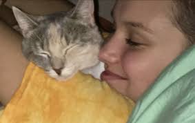 dawn corey (@dawncorey6)