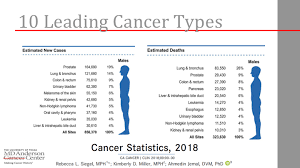 survival rate is dependant on whether the patient is undergoing treatment or not. John W Davis Md Current Mortality Rates On Prostate Cancer Patients