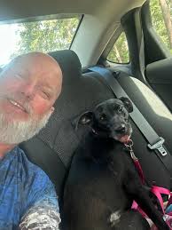 Tilly was included in a dream last night for the first time since she died  14 May. She was missing, I was calling her. No prizes for guessing I'm  missing her like