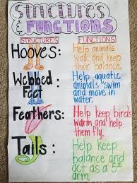 Animal Structures And Functions Anchor Chart Science Anchor Charts First Grade Science Third Grade Science