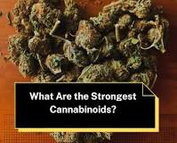 What Are The Strongest Legal Hemp Cannabinoids?