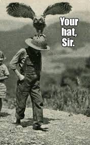 Tell me something good is a new experimental feature for assistant that. Pin By Boglarka Judit Zuberecz On Wtf Photo Old Photos Vintage Photographs