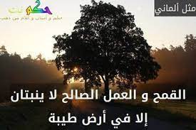 pin on حكاية صورة
