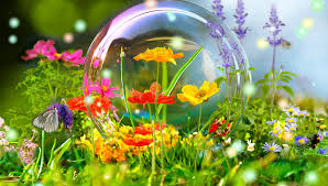 278,425 free photos of flower. Ball Reflection Nature Bubble Meadow Flowers Flower Nature Wallpaper Hd 3d 970x550 Wallpaper Teahub Io