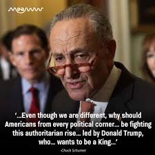 Senate Minority Leader Chuck Schumer weighed in Wednesday during floor  remarks, responding to Sen. Jeff Merkley's extended speech