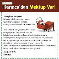 Karincadan Mektup Var Karincalari Kovmanin Yollari Karincalar Nasil Gider Karincalari Nasil Gonderirim Karincadan Kur Gercekler Karincalar Okul