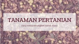 Maybe you would like to learn more about one of these? 5 Tanaman Pertanian Yang Paling Menguntungkan Saat Dijual Mbizmarket Co Id