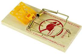 Southern Homewares Wooden Snap Spring Action Rat Trap With Expanded Cheese Shaped Trigger 9pack To View Further For This Rat Traps Mouse Traps Mice Control