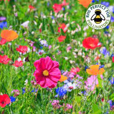 By admin 2 years ago. 100 Wildflower Seeds Bees Butterfly Mix Gardening From Gardeners Dream Uk