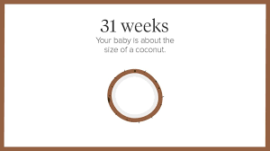 31 Weeks Pregnant Symptoms Tips And More