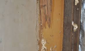 The only exception is when you get termites from a covered peril such as a water leak in your home. Damage From Termites Is Not Covered Under Your Home Insurance Home Integrity