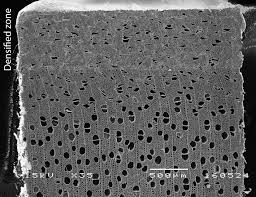 Thermally modified wood is wood that has been modified by a controlled pyrolysis process of wood being heated (> 180 °c) in absence of oxygen inducing some chemical changes to the chemical structures of cell wall components (lignin, cellulose and hemicellulose). Sandberg D Kutnar A Mantanis G 2017 Wood Modification Technologies A Review Iforest Biogeosciences And Forestry 10 895 908