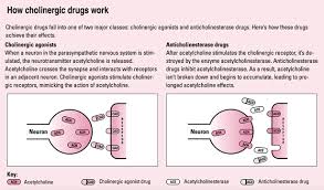 Image result for Cholinergic Toxicity