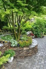 Stone Raised Bed Nice Way To Accent A Tree Dreaming Gardens Arbre De Jardin Jardins Design Jardin