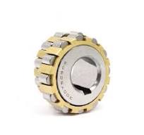 Bearing Rn205e Rn205m Cylindrical Roller Bearing 25X45X15mm