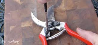 Maybe you would like to learn more about one of these? How To Care For And Sharpen Gardening Tools