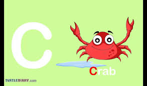 It originated around the 7th century from latin script.since then, letters have been added or removed to give the current modern english alphabet of 26 letters with no diacritics, digraphs, nor special characters.the word alphabet is a compound of the first two letters of the. 8 Alphabet Words Starting With D You Can Choose Any Length Of Words Or Specify The Exact Number Of Letters In The Word X Y Z Learning