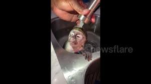 #babymonkey #greenmonkey #babybath turn post notification and comment below what is this video about: Newsflare Us Baby Monkey Enjoys A Relaxing Bath
